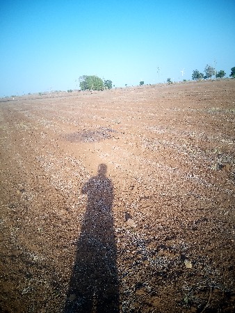 ભૂકો (પાલો) વેચવાનો છે