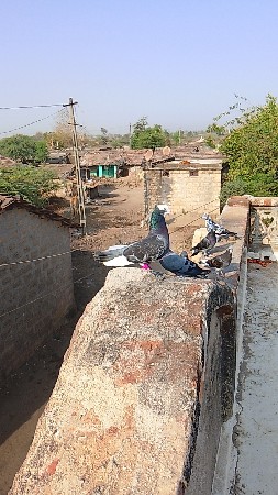 थंबनेल 2