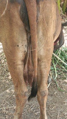 थंबनेल 3