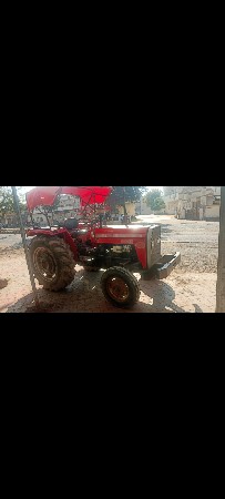 Massey 241DI