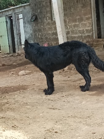 મેલ વેચવાનો છે