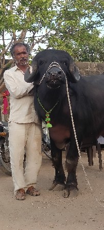 थंबनेल 3