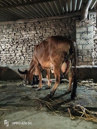 थंबनेल 3