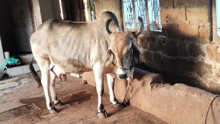 थंबनेल 2