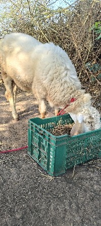 थंबनेल 3