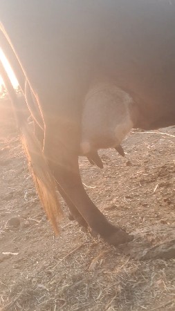 થંબનેલ 3