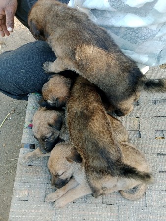 થંબનેલ 2