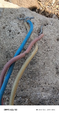 ગોળ કેબલ છે તન તાર