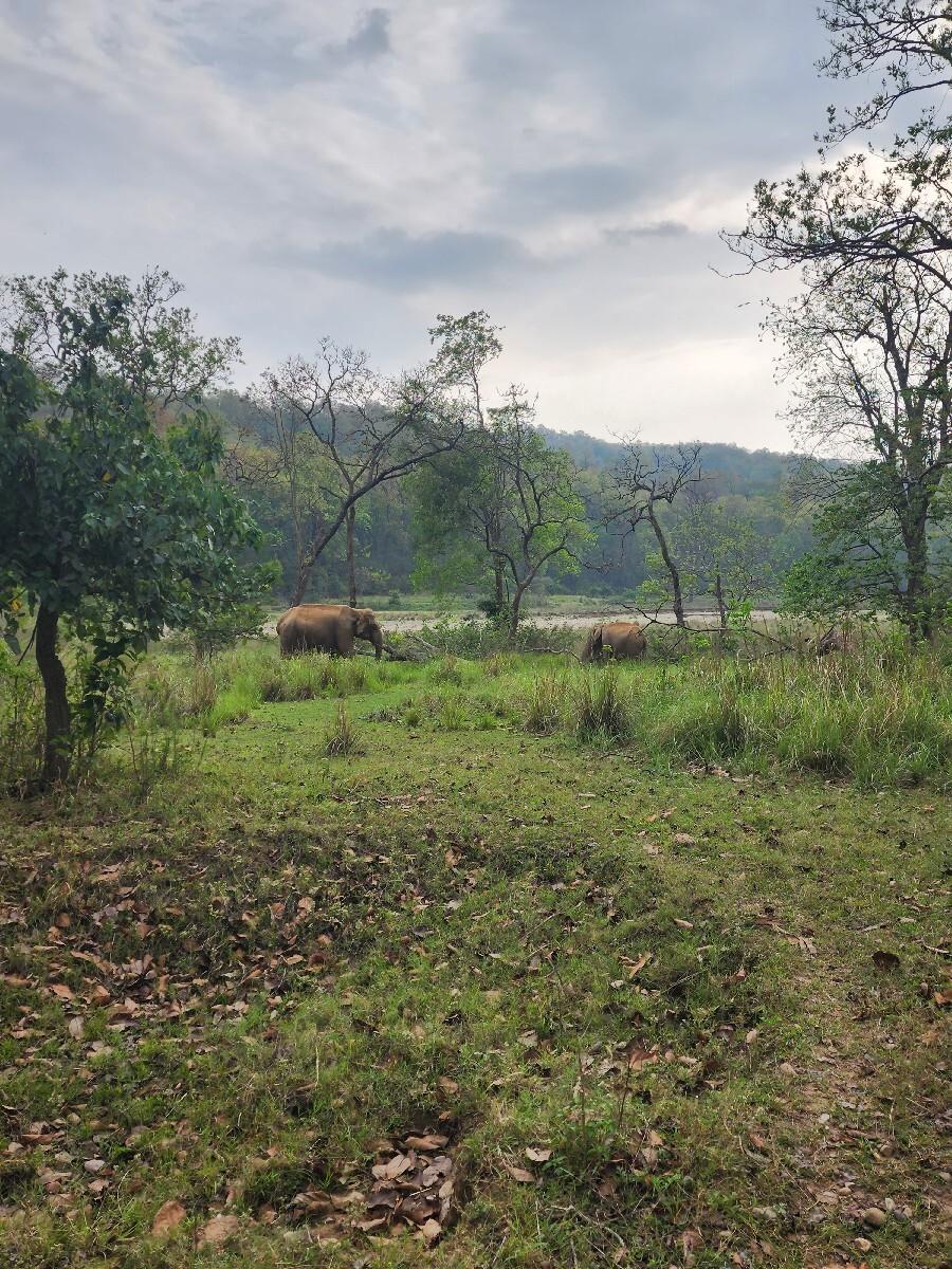 80 વીઘા જમીન વેચવાની છે.
