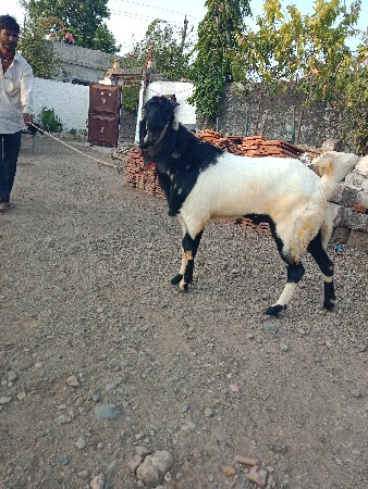 थंबनेल 2