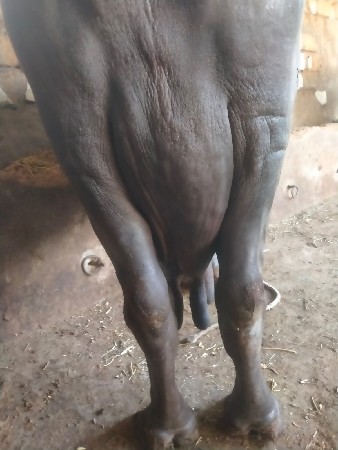 थंबनेल 3