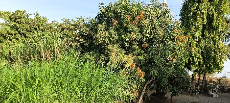 જમીન વેચવા ની છે