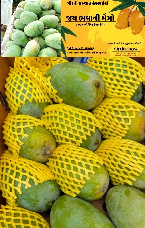 ઓર્ગેનિક કેરી વેચવાની છે