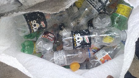 પ્લાસ્ટિકની શિષ્ય