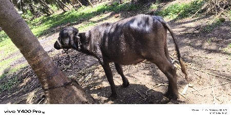 थंबनेल 2