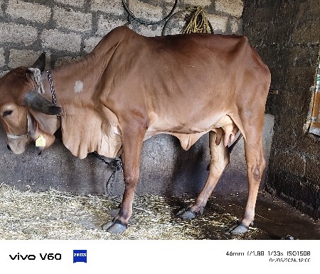 थंबनेल 2