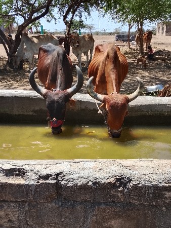 જામનગર જિલ્લો ભાણવડ તાલુકો