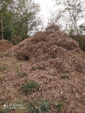 4000 રૂપિયામાં ભુકો દેવાનું છે