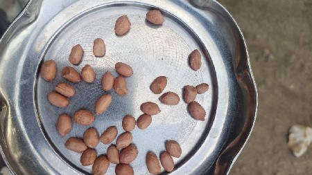 થંબનેલ 3