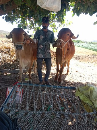 थंबनेल 3