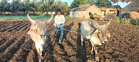 વૅચવાના છૅ