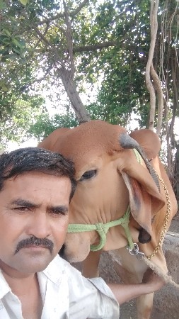 थंबनेल 2