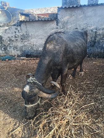 थंबनेल 3