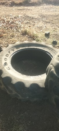 થંબનેલ 2