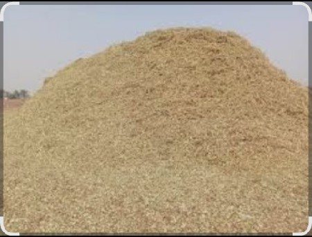 madvino bhuko માંડવી નો ભૂકો