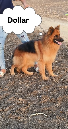 મિટિંગ માટે છે વેચવાનો નથી