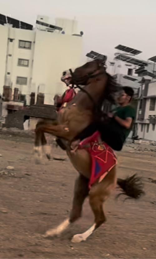 थंबनेल 2