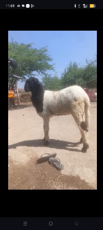 ખેતી વેચવાની છે