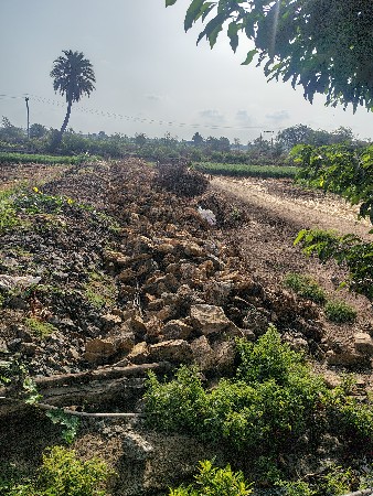 ટોળાની વંડી સણવાની છે