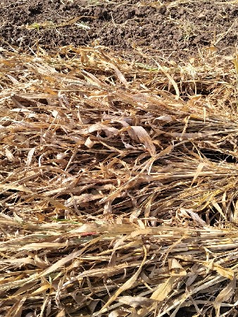 ભીડ વેચવાની છે ઉપાડી ડુંડઢા વગરની