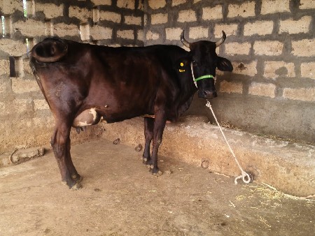 થંબનેલ 4