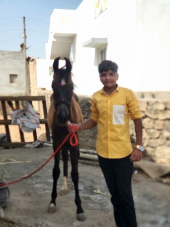 थंबनेल 2