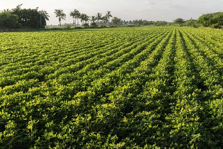 જમીન વેચવાની છે