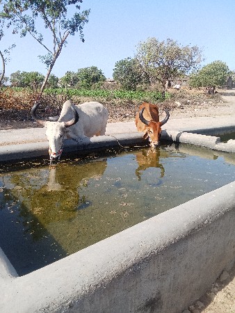 થંબનેલ 2