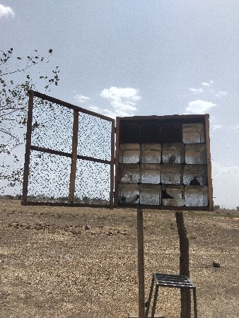 કબુતર ની પેટી વેચવાની છે