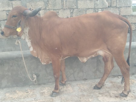 थंबनेल 2