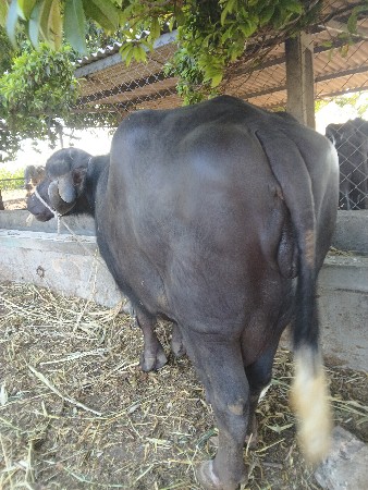 थंबनेल 3