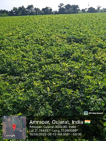 થંબનેલ 2