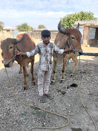 વેચવાના છે