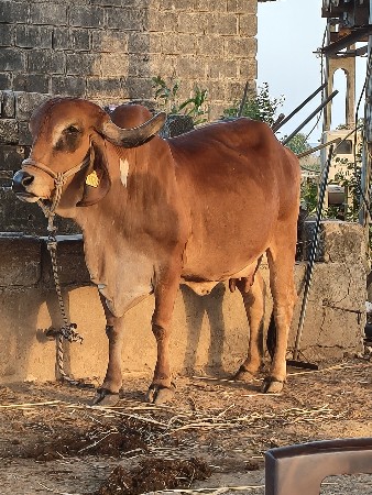 थंबनेल 2