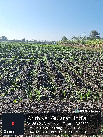 17 વીઘા જમીન વેચવાની છે.