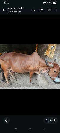 थंबनेल 2