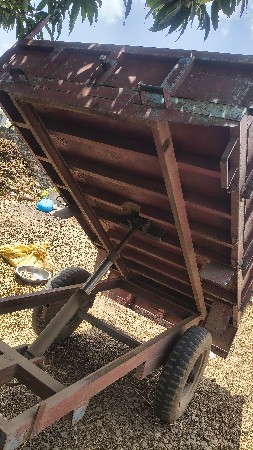 ટોલી વેચવાની છે