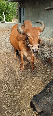 થંબનેલ 3