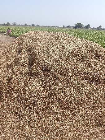 મગફળી નો ભૂકો વેચવા નો છે.