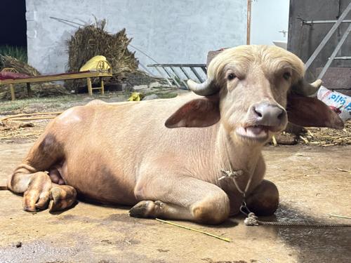 थंबनेल 3